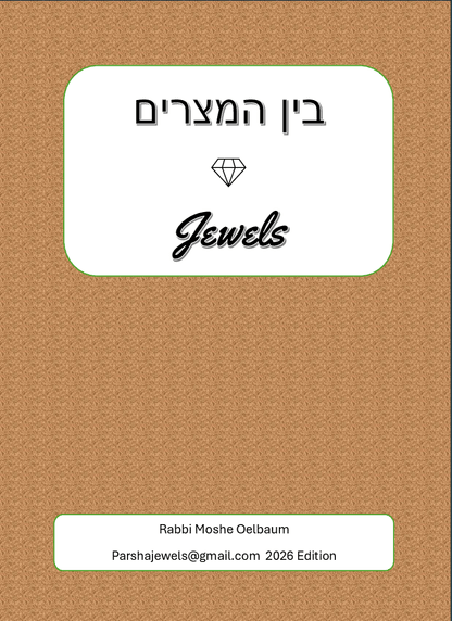 PDF Preview