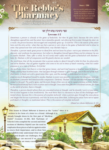 PDF Preview