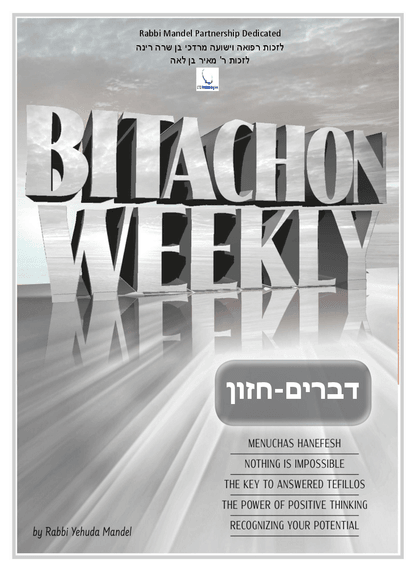 PDF Preview