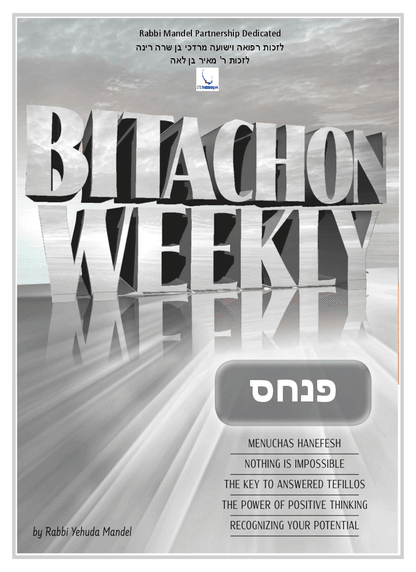 PDF Preview