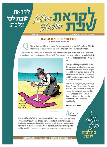 PDF Preview