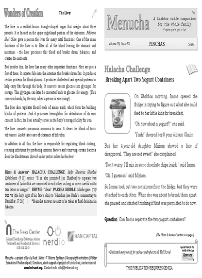 PDF Preview