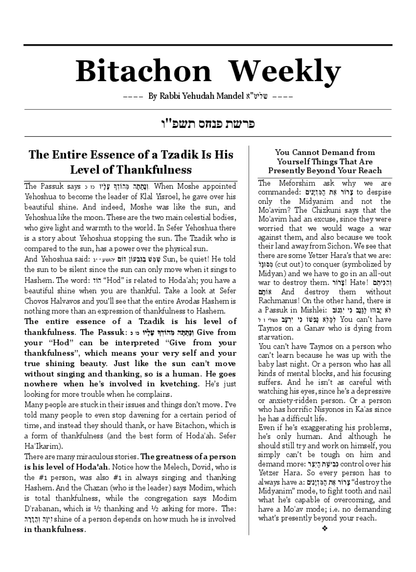 PDF Preview