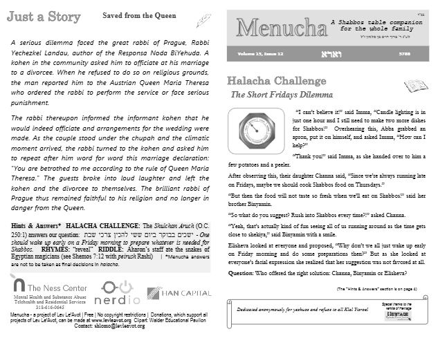 PDF Preview