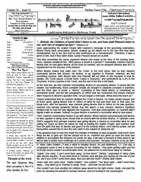 PDF Preview