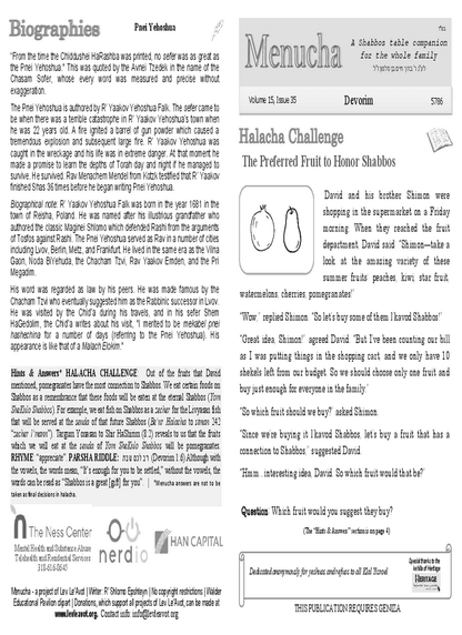 PDF Preview