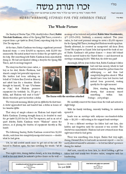 PDF Preview