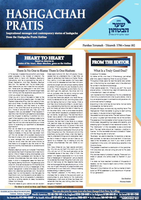 PDF Preview