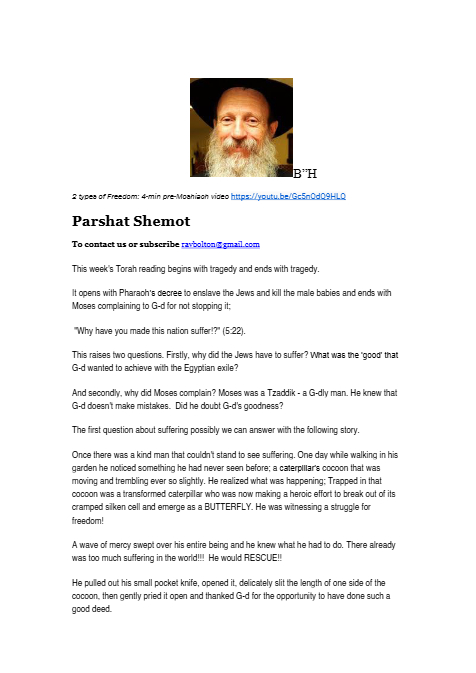 PDF Preview