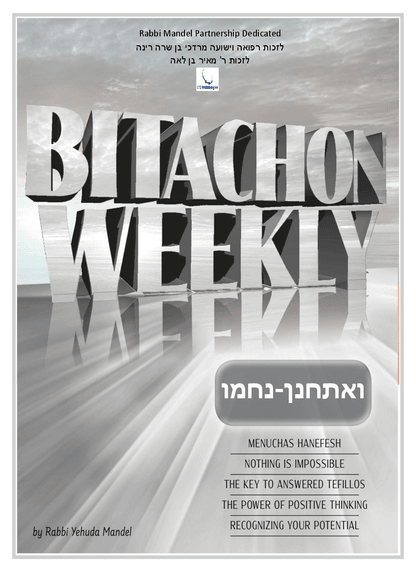 PDF Preview